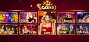 Quản lý vốn là kinh nghiệm chơi Baccarat Manclub then chốt